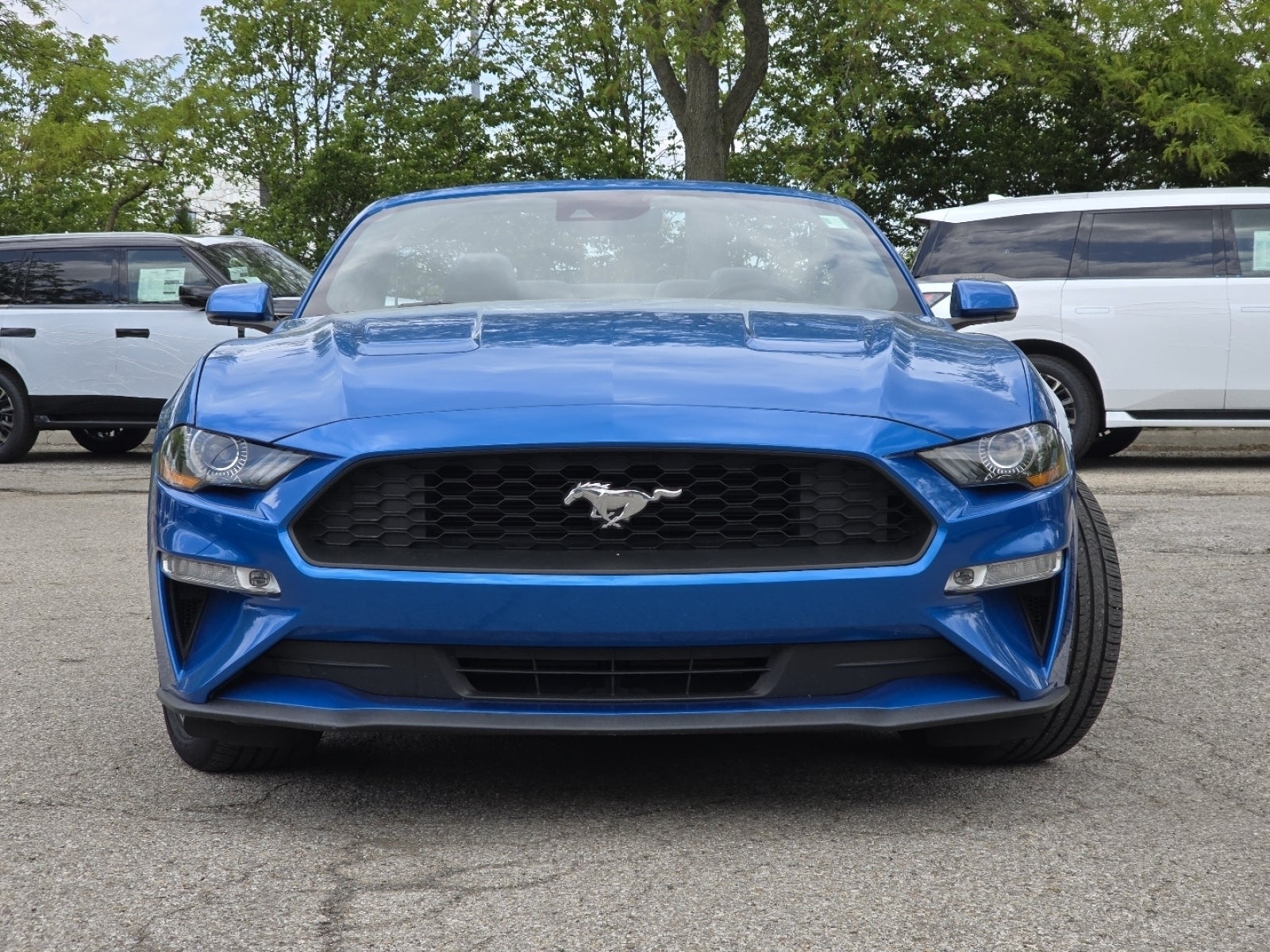 2019 Ford Mustang EcoBoost Premium