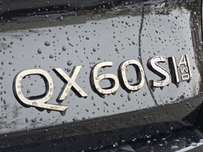 2026 INFINITI QX60 SPORT