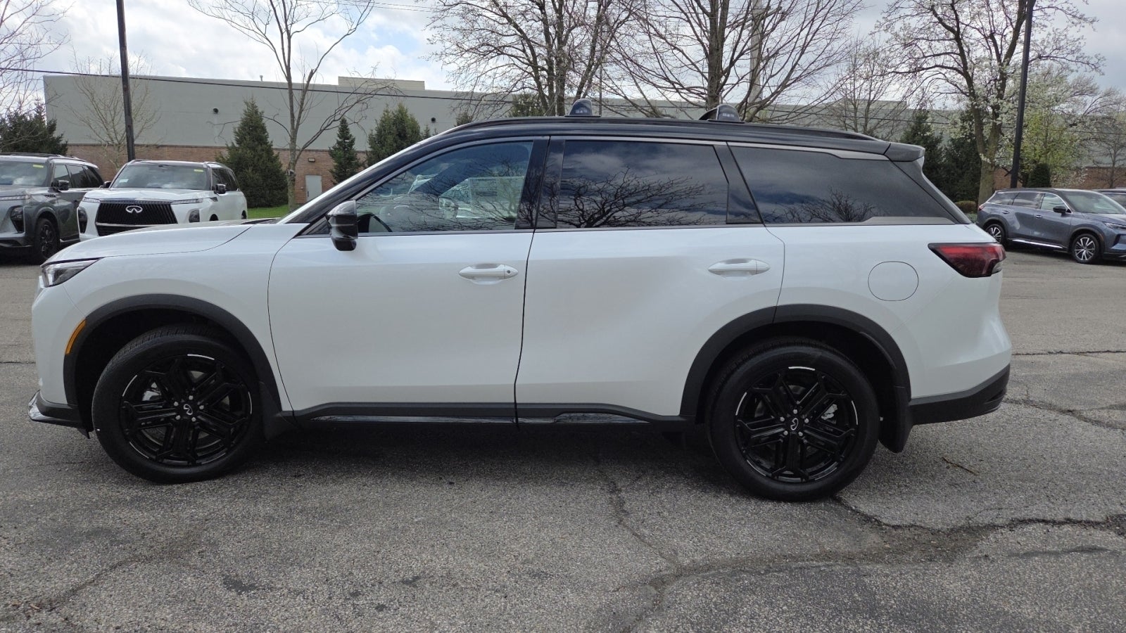 2026 INFINITI QX60 SPORT