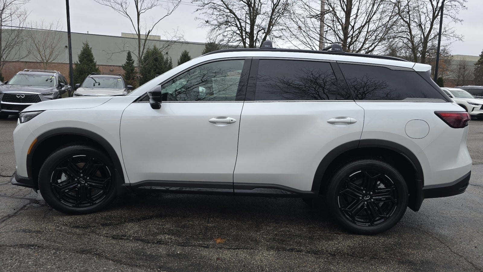 2026 INFINITI QX60 SPORT