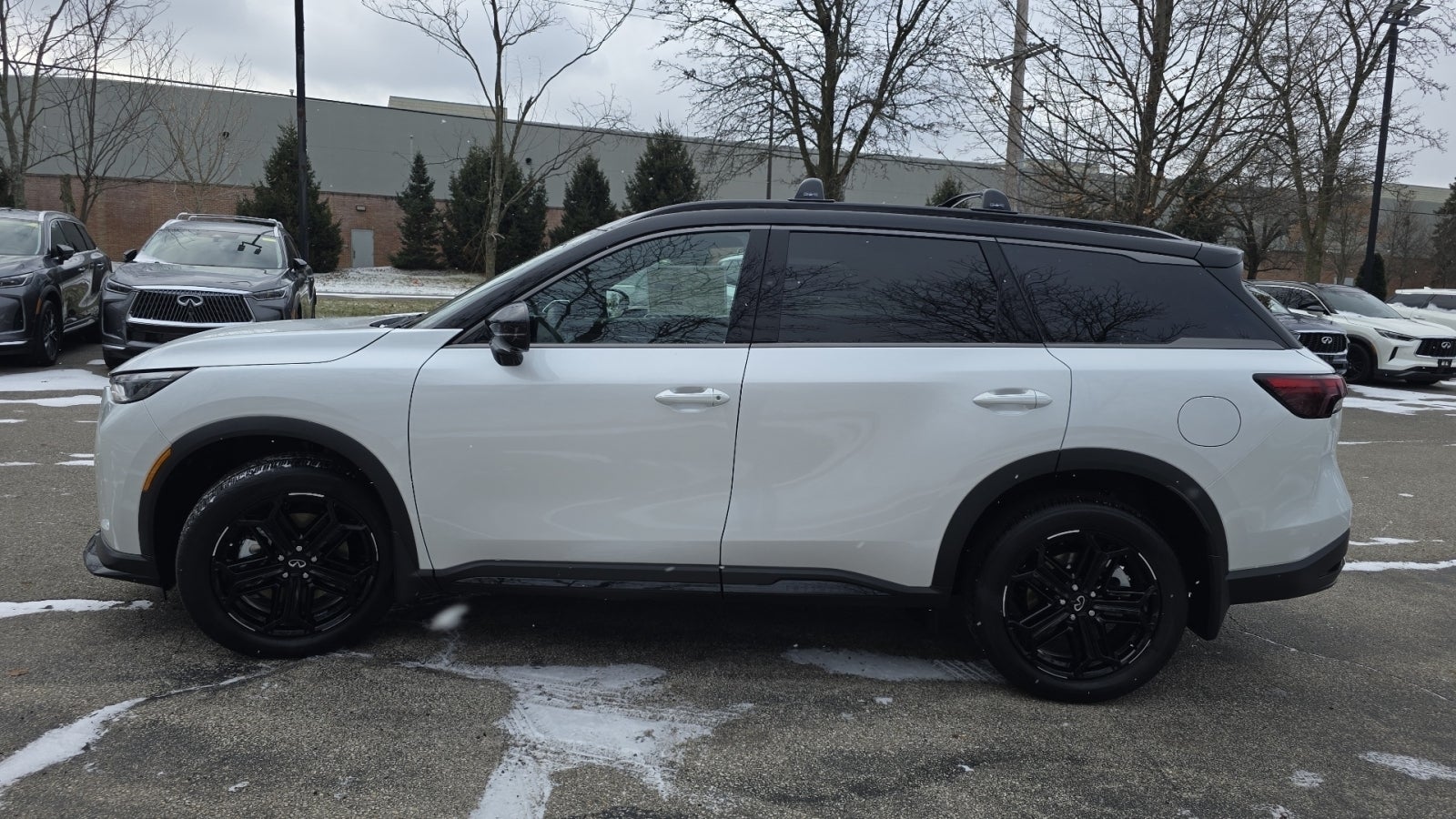 2026 INFINITI QX60 SPORT