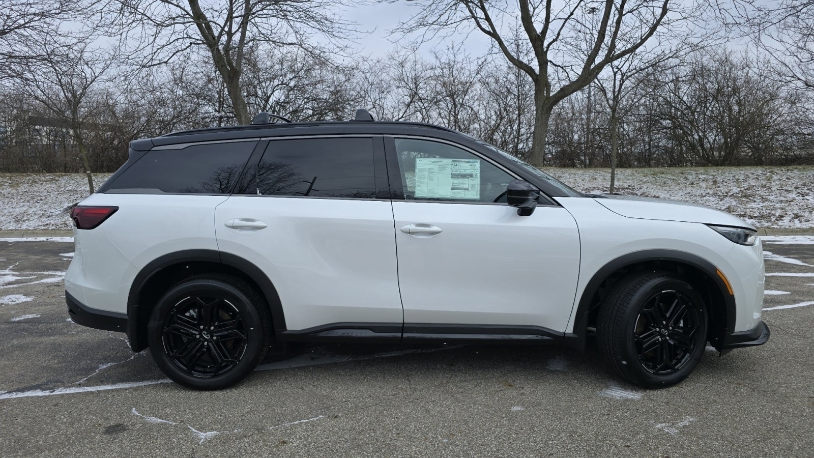 2026 INFINITI QX60 SPORT