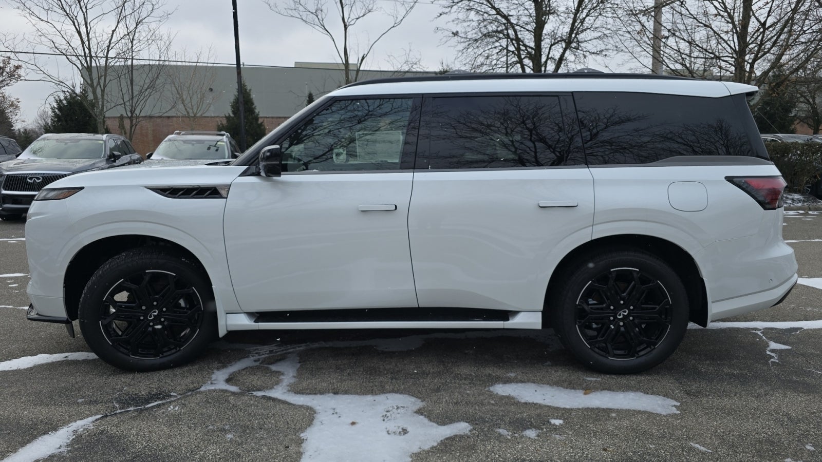 2026 INFINITI QX80 SPORT
