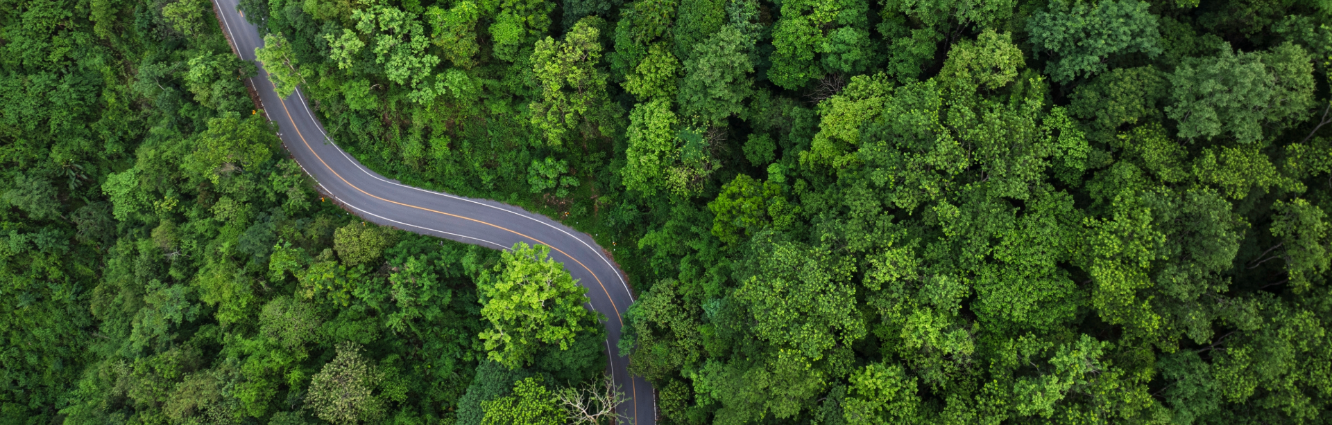 INFINITI EV Environmental Benefits Guide
